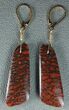 Brilliant, Red Agatized Dinosaur Gembone Earrings #33827-1